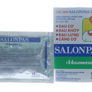 Cao dán giảm đau Salonpas hộp 12 miếng