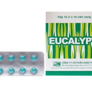 Thuốc sát trùng đường hô hấp Eucalyptin (H/100v)