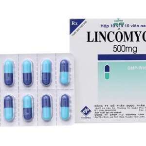 Thuốc kháng sinh Lincomycin 500mg / hộp 100 viên