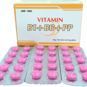 VITAMIN B1-B6-B12 H/100V PP PHARCO