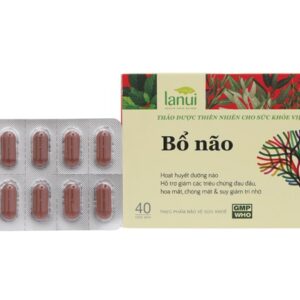 Viên uống bổ não Lanui Memory 40 viên