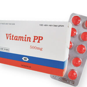 Vitamin PP 500mg (H/100v)